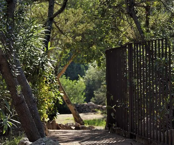 Holiday home U Cantu Di I Cardellini